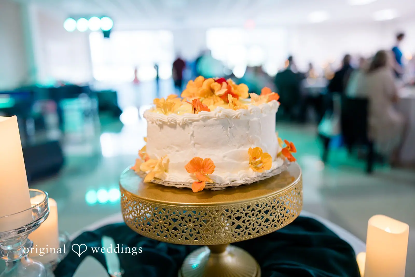 Kaitlyn + Ezra Rockford Museum Park Wedding // Kaitlyn & Ezra -