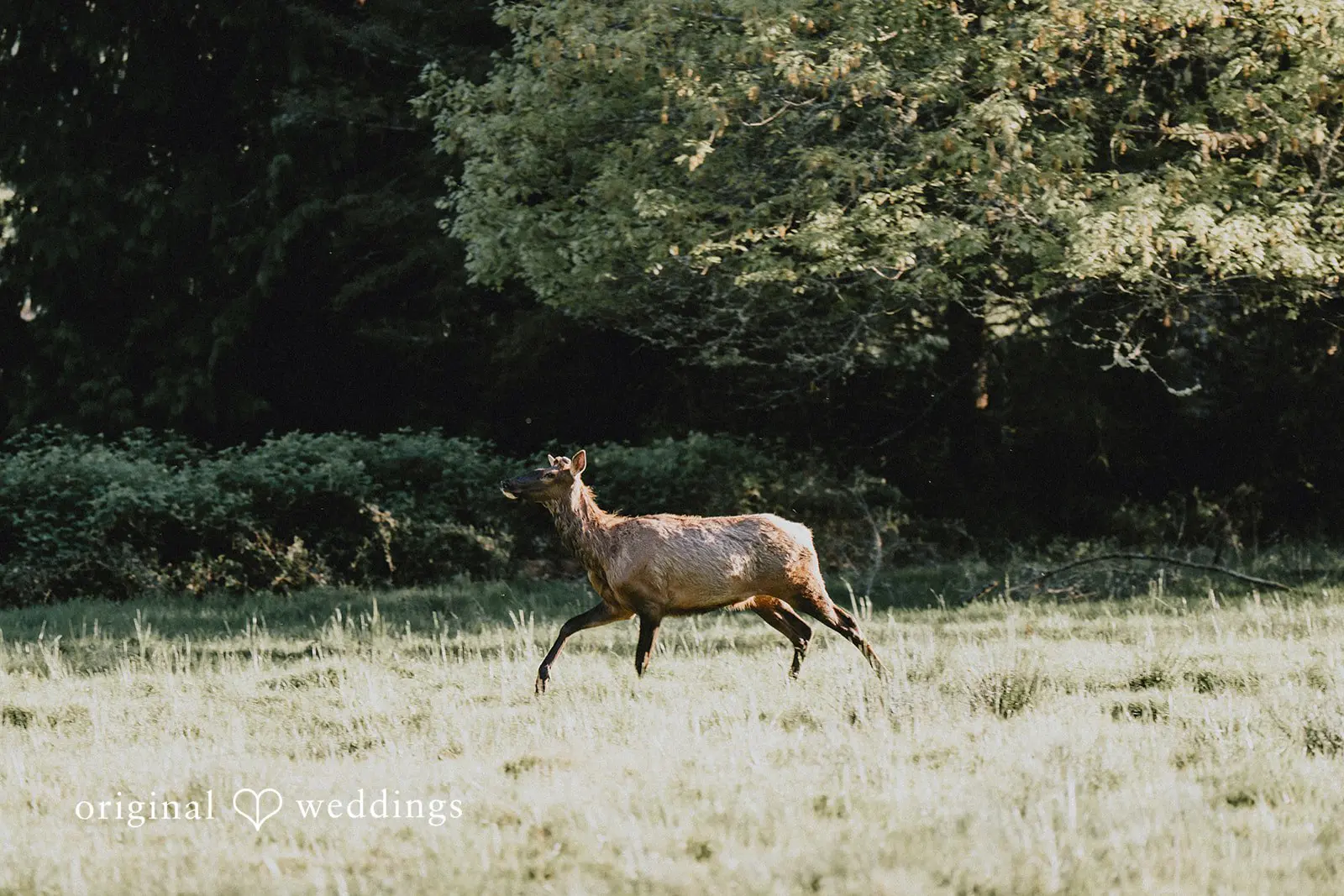 Kaydee + Jameson Rockwood Farms Engagement // Kaydee & Jameson -
