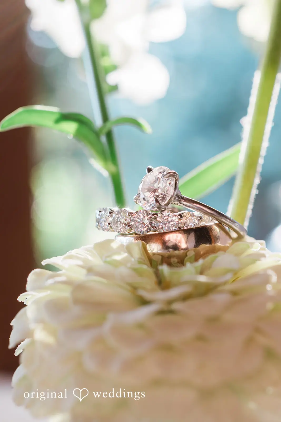 Rocky Hill Events Wedding //Adrienne & Jacob -