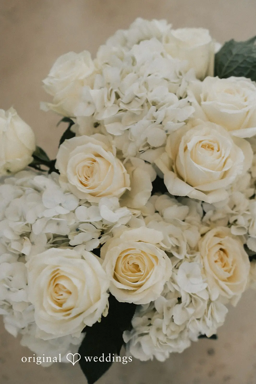 Jessie + Richard Sage & Social Wedding // Jessie & Richard -