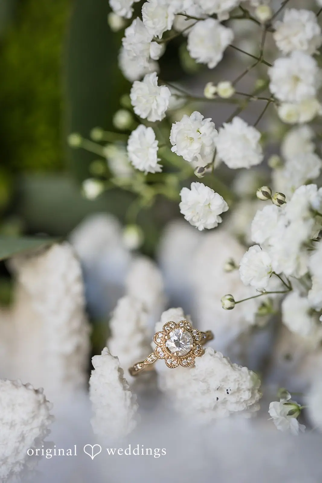 Charlotte + Jacob Seabrook Hospitality Wedding // Charlotte & Jacob -