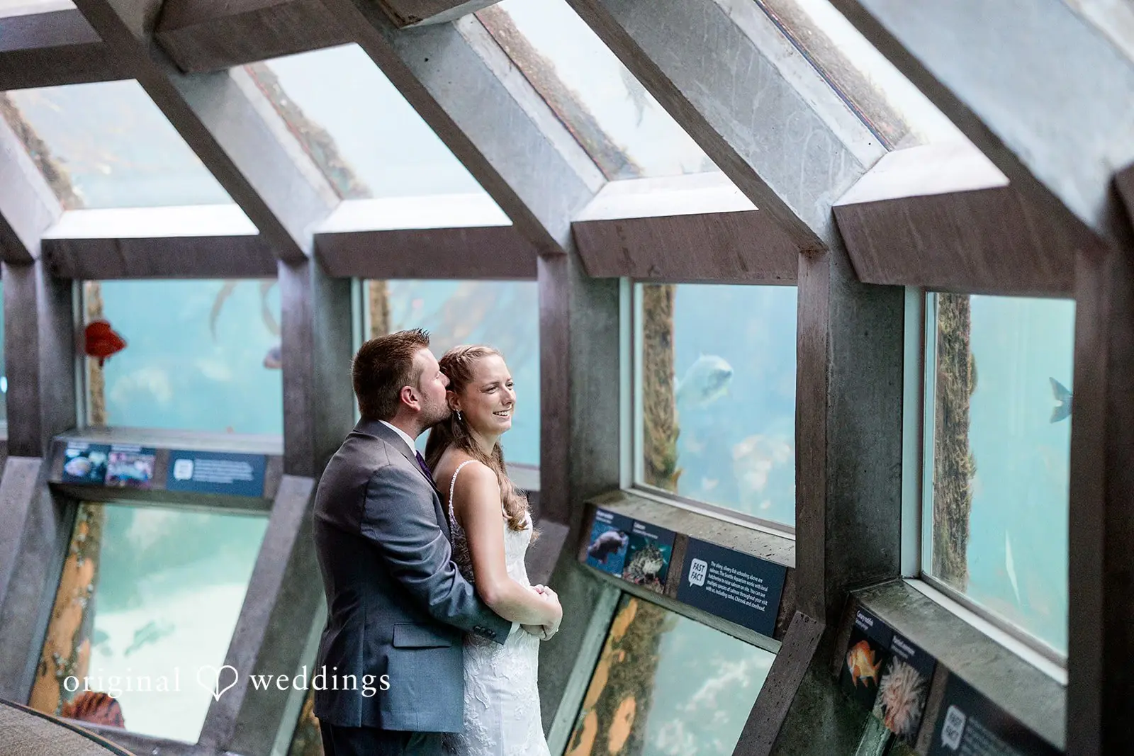 Seattle Aquarium Wedding // Danika & Nicholas -