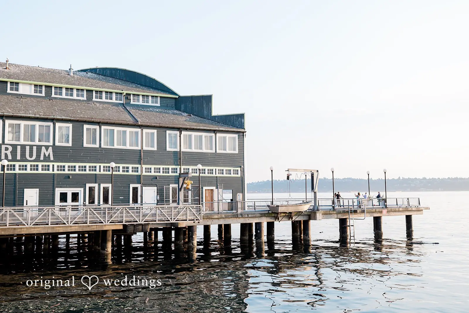Seattle Aquarium Wedding // Danika & Nicholas -