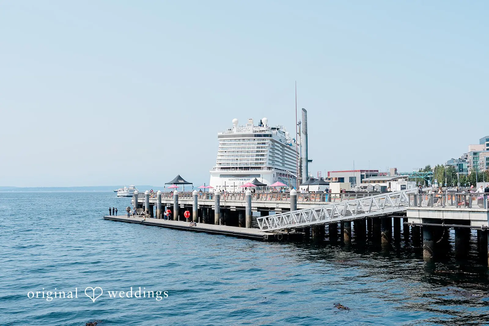 Seattle Aquarium Wedding // Danika & Nicholas -