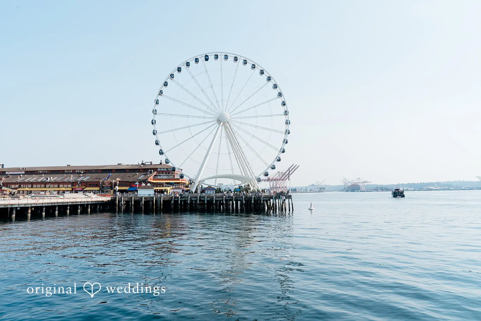 Seattle Aquarium Wedding // Danika & Nicholas -