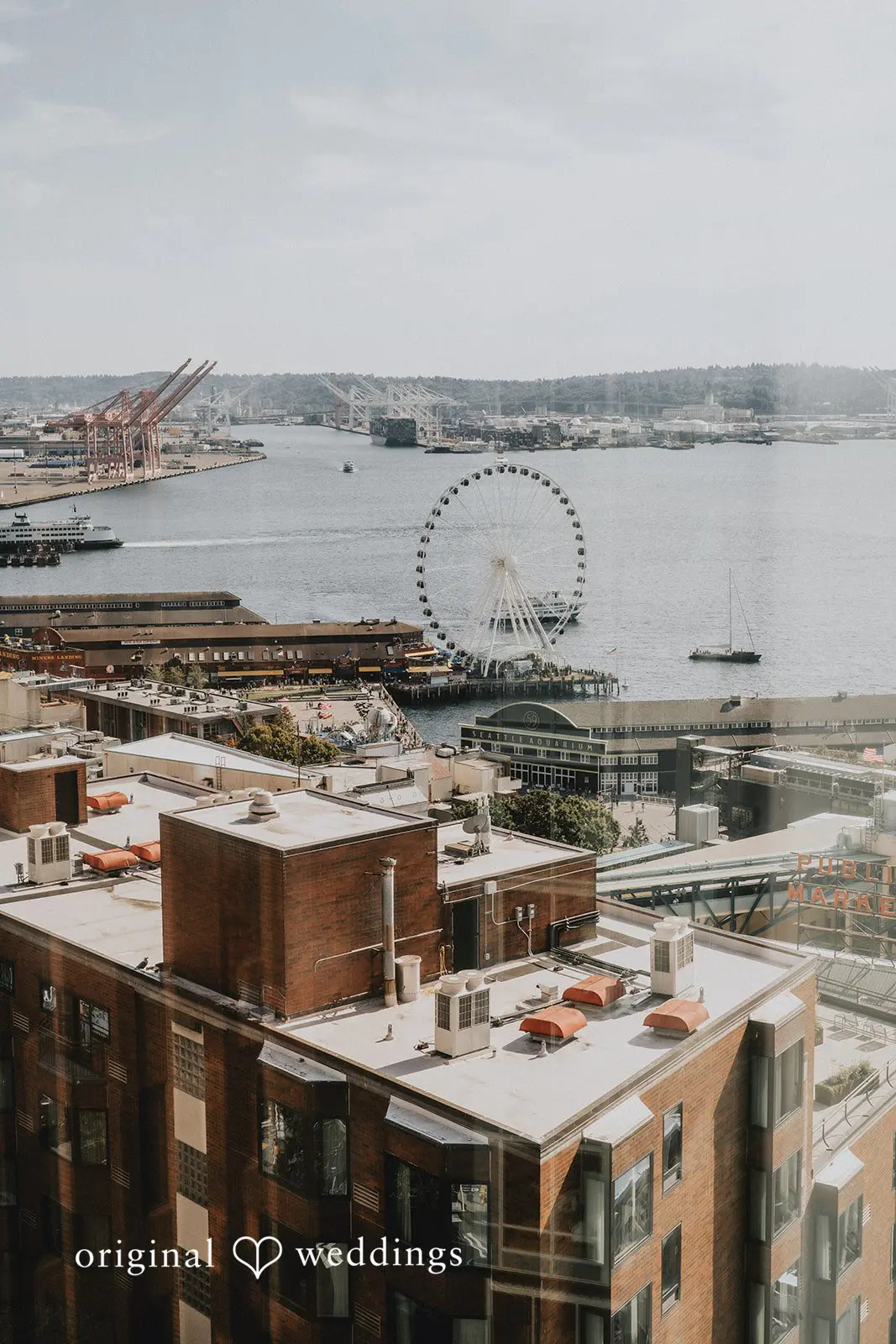 Jackie + Phoenix Seattle Asian Art Museum Wedding // Phoenix & Jackie -