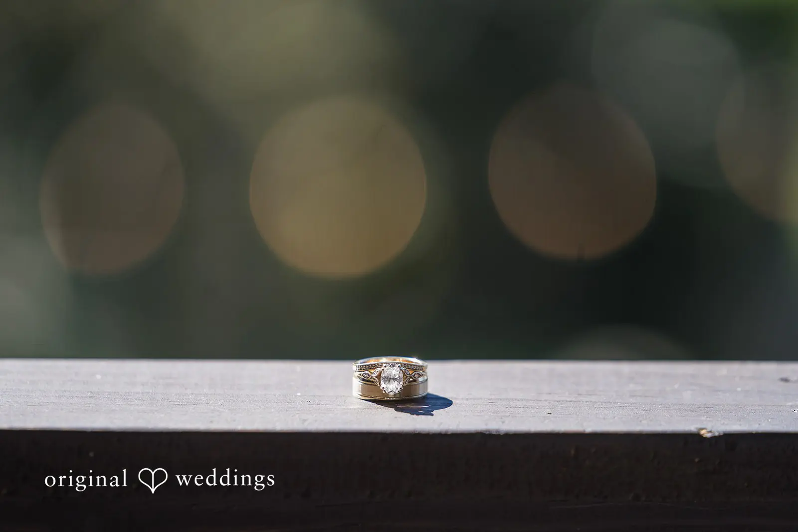 John + Jesse Shenandoah NP Jewell Hollow Overlook Wedding // John & Jesse -