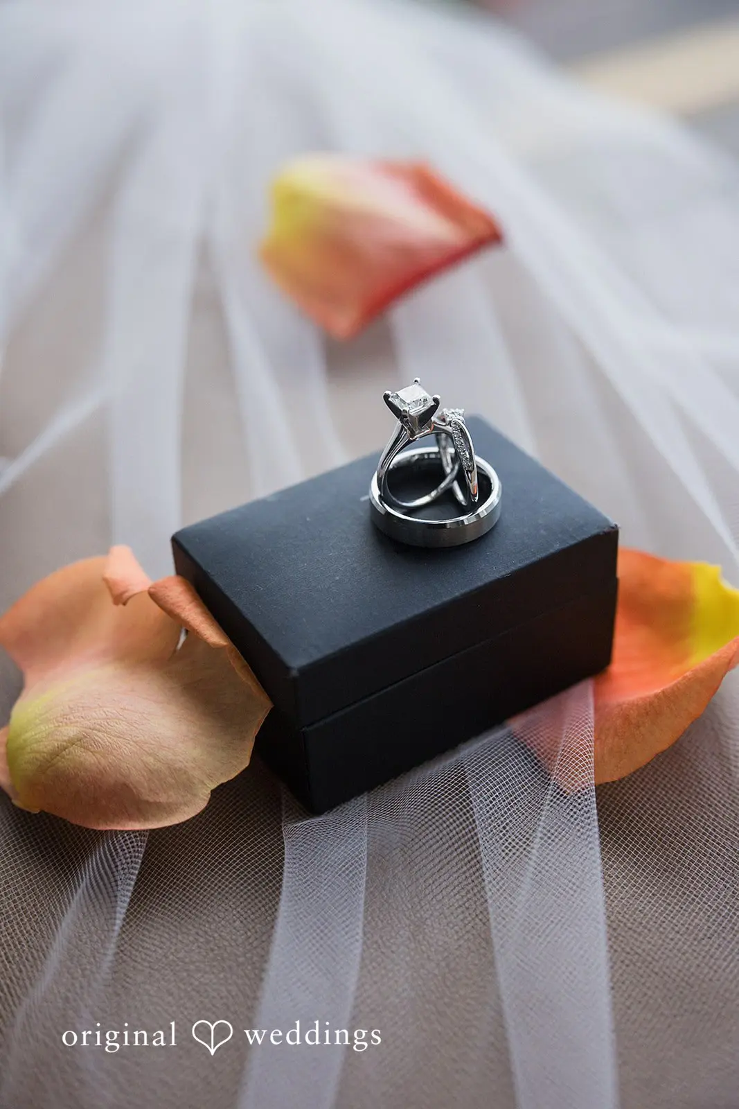 Centre Club Tampa Wedding // Levi & Kristin -
