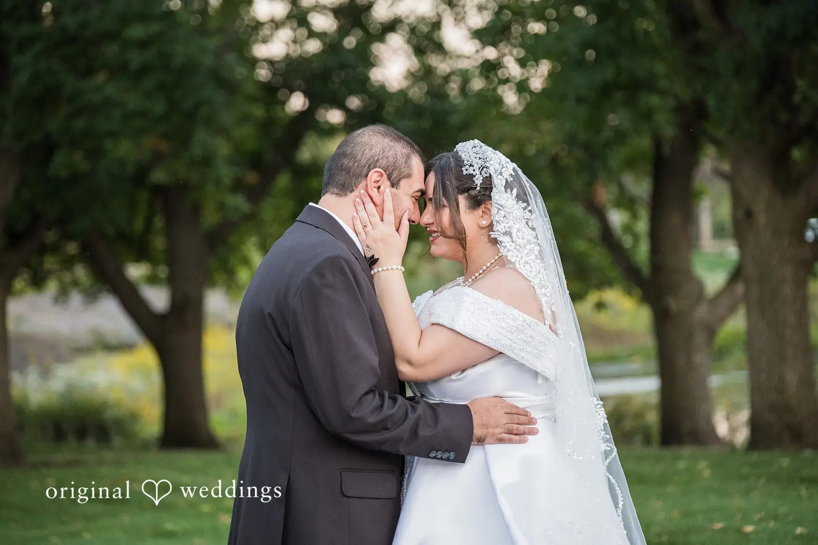 Elias + Sarah Sheraton Lisle Naperville Wedding // Sarah & Elias -