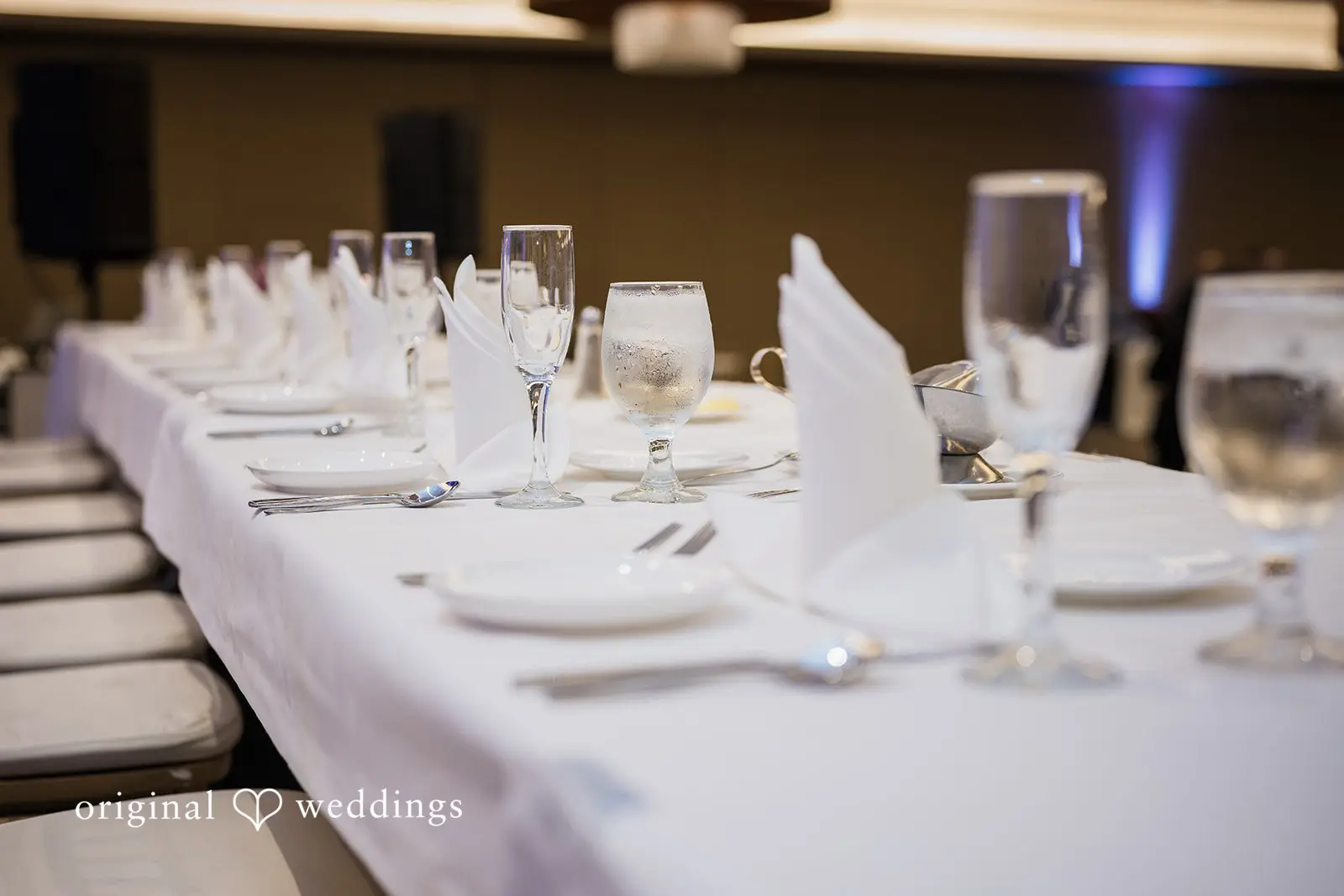Elias + Sarah Sheraton Lisle Naperville Wedding // Sarah & Elias -