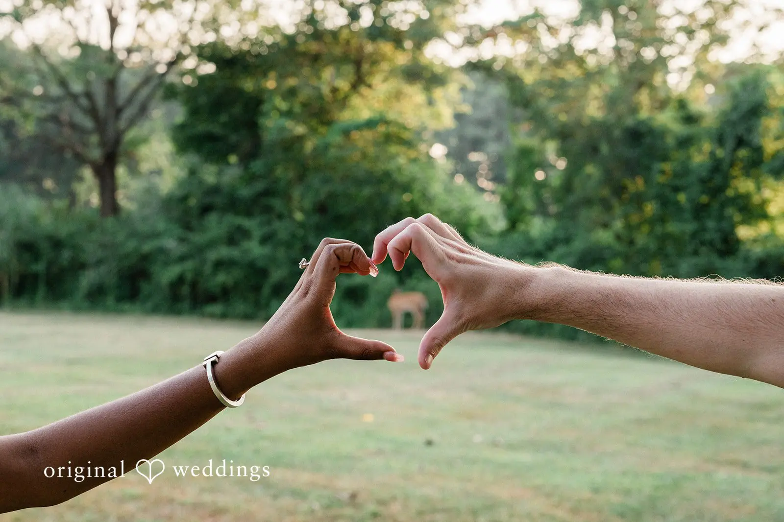 Sherwood Island Engagement // Veniece & Michael -
