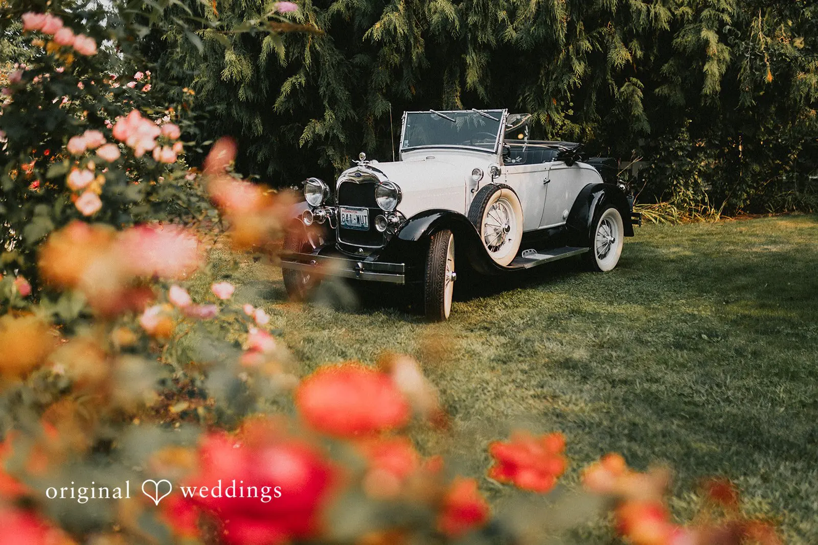 Payten + Jesse Stepping Stones Garden Wedding // Payten & Jesse -