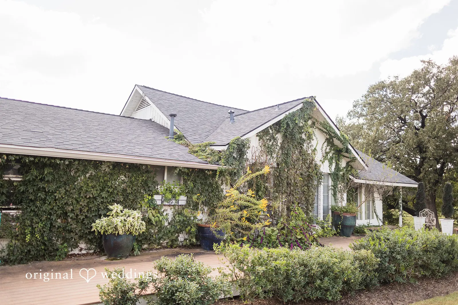 Anita + Jackson Stillwater Meadow Wedding // Anita & Jackson -