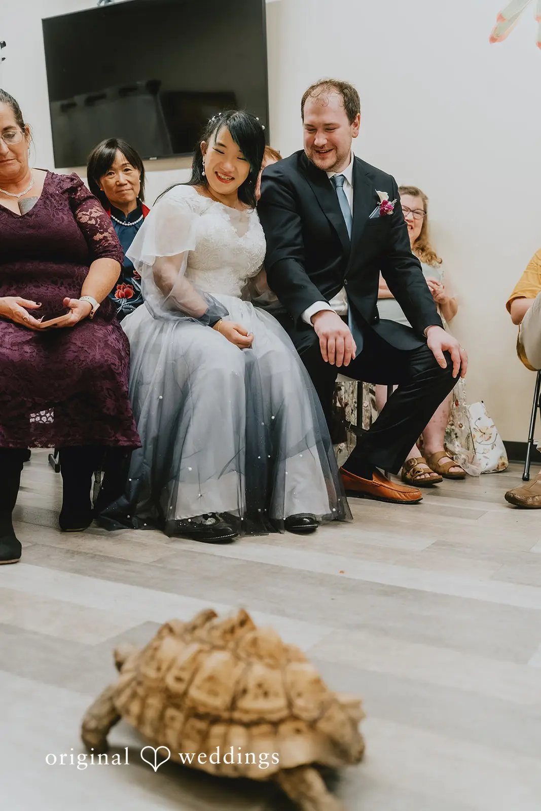 Corin + Gengyi Stone Zoo Wedding // Corin & Gengyi -