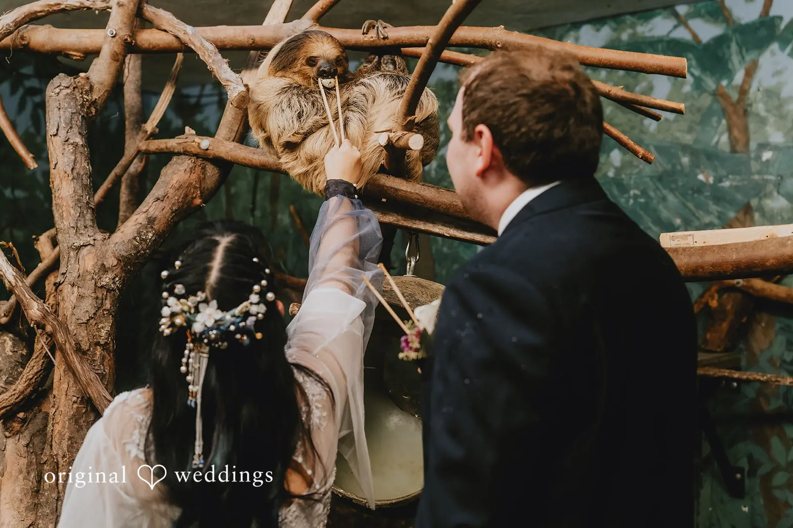 Corin + Gengyi Stone Zoo Wedding // Corin & Gengyi -