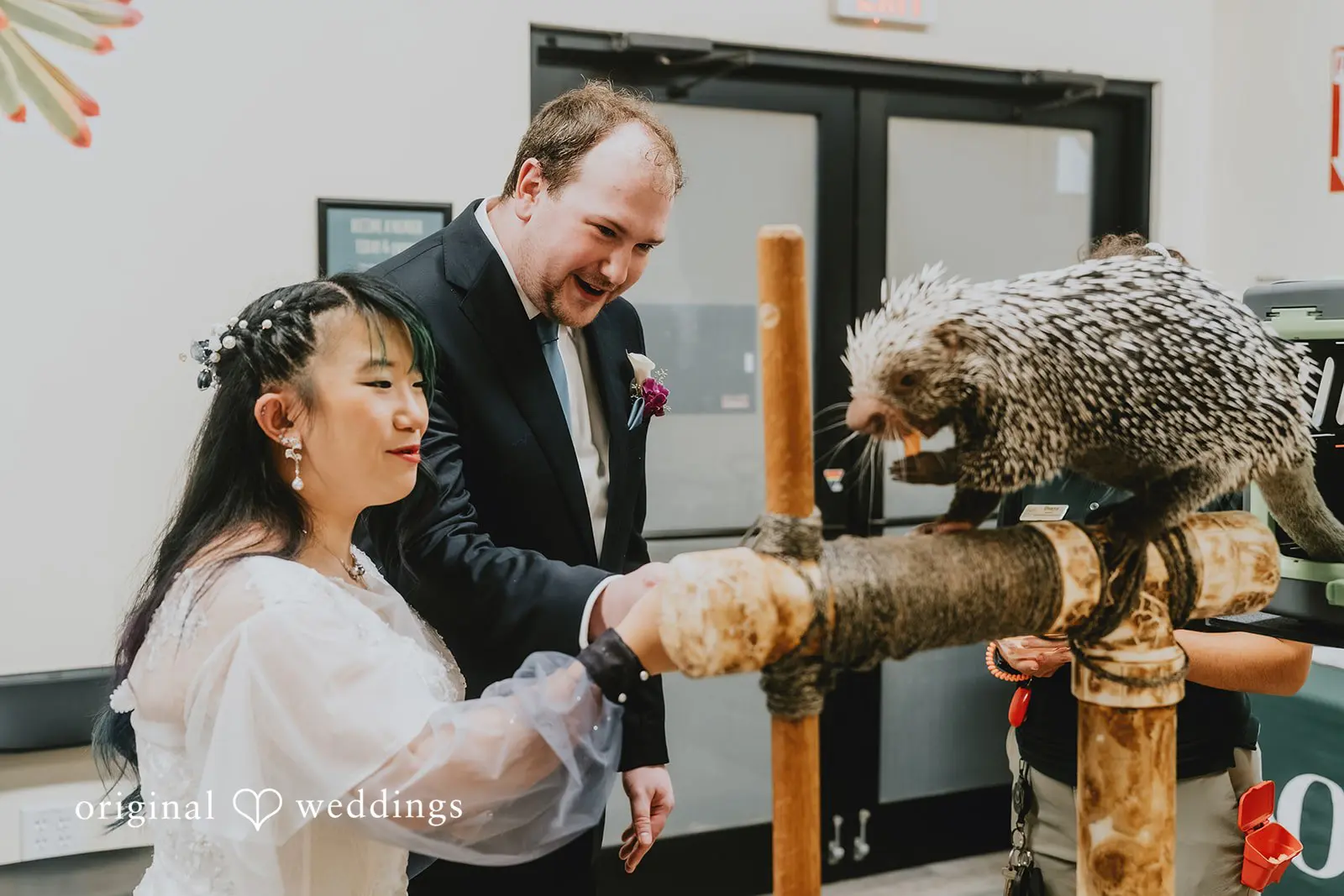 Corin + Gengyi Stone Zoo Wedding // Corin & Gengyi -