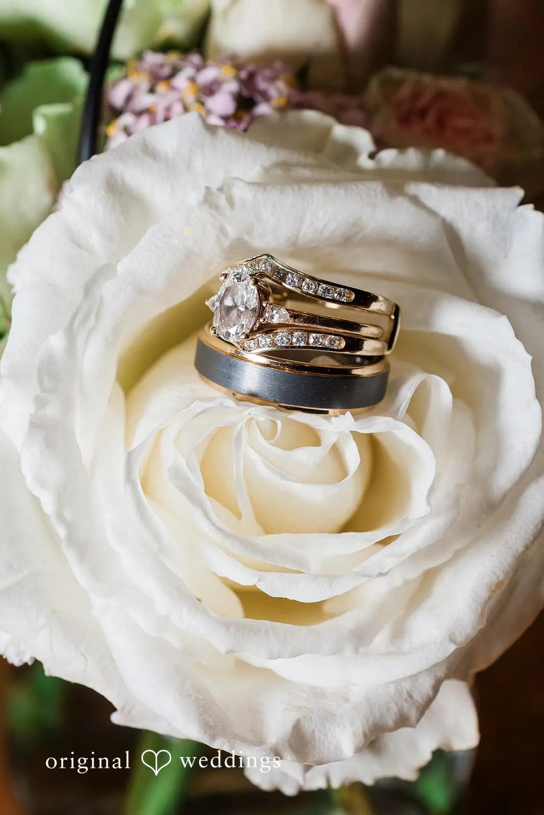 Sweet Cheeks Winery Wedding // Katlyn & Caleb -