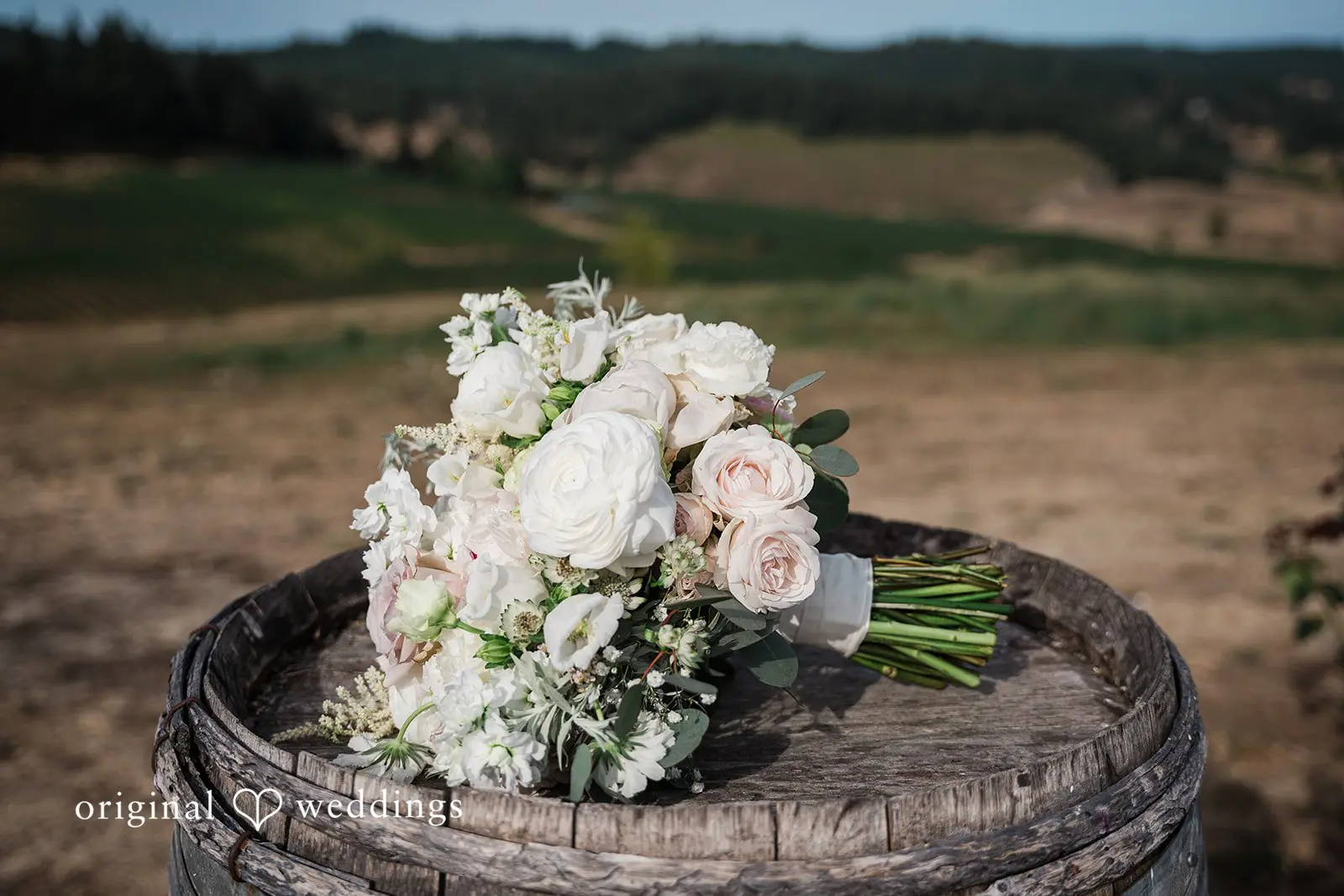 Sweet Cheeks Winery Wedding // Katlyn & Caleb -