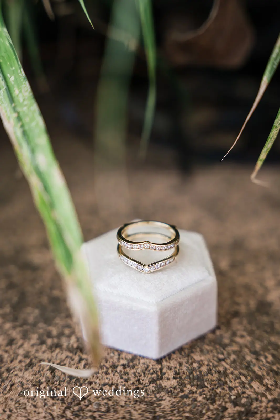 Sweet Cheeks Winery Wedding // Katlyn & Caleb -