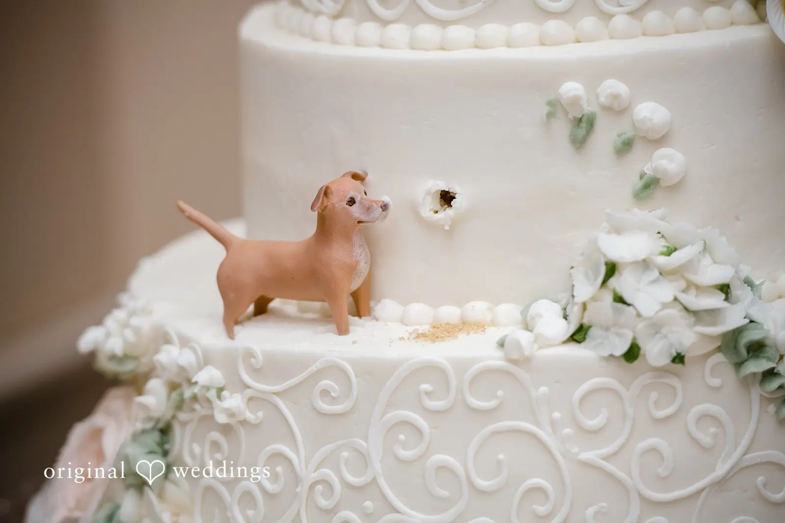 Talamore Country Club Wedding // Nikki & Rohan -