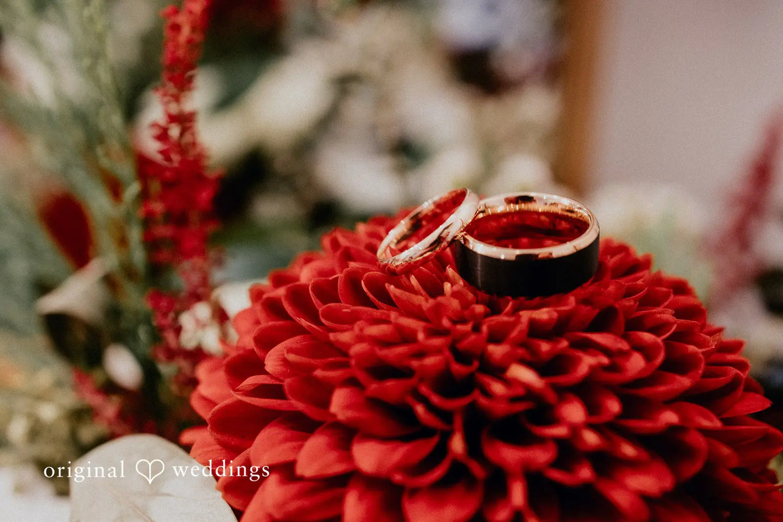 Tall Oaks Kirtland Wedding // Olivia & Andrew -