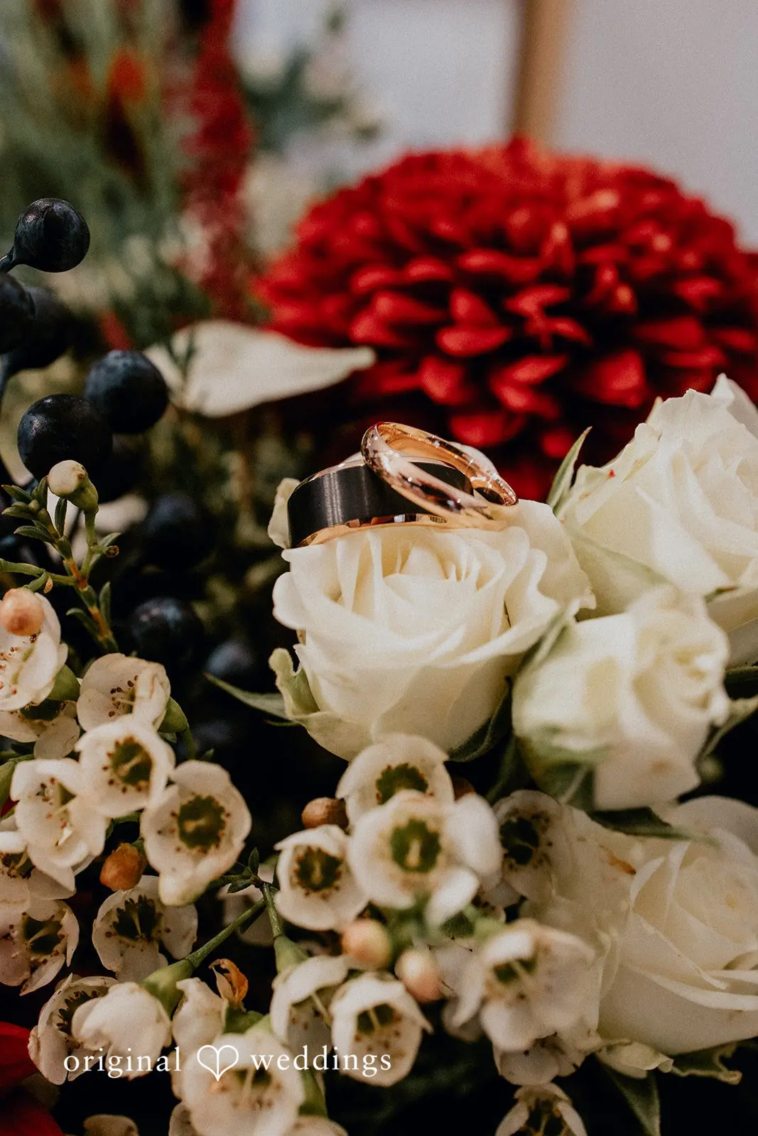 Tall Oaks Kirtland Wedding // Olivia & Andrew -