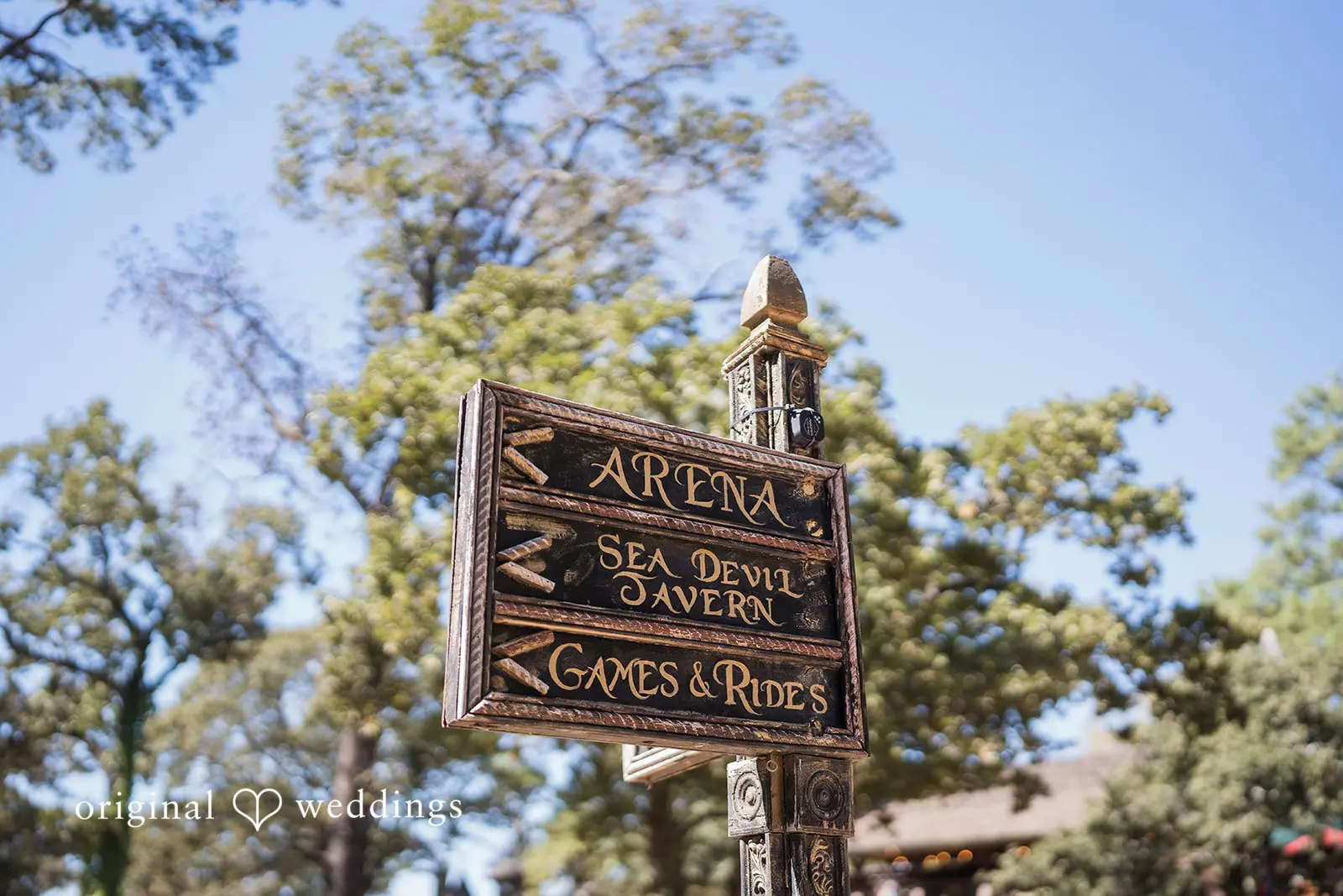Daniel + Hannah Texas Renaissance Festival Wedding // Daniel & Hannah -