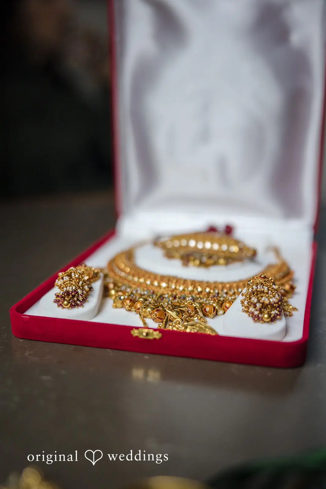 Shraddha + Alex The 101 Wedding // Shraddha & Alex -