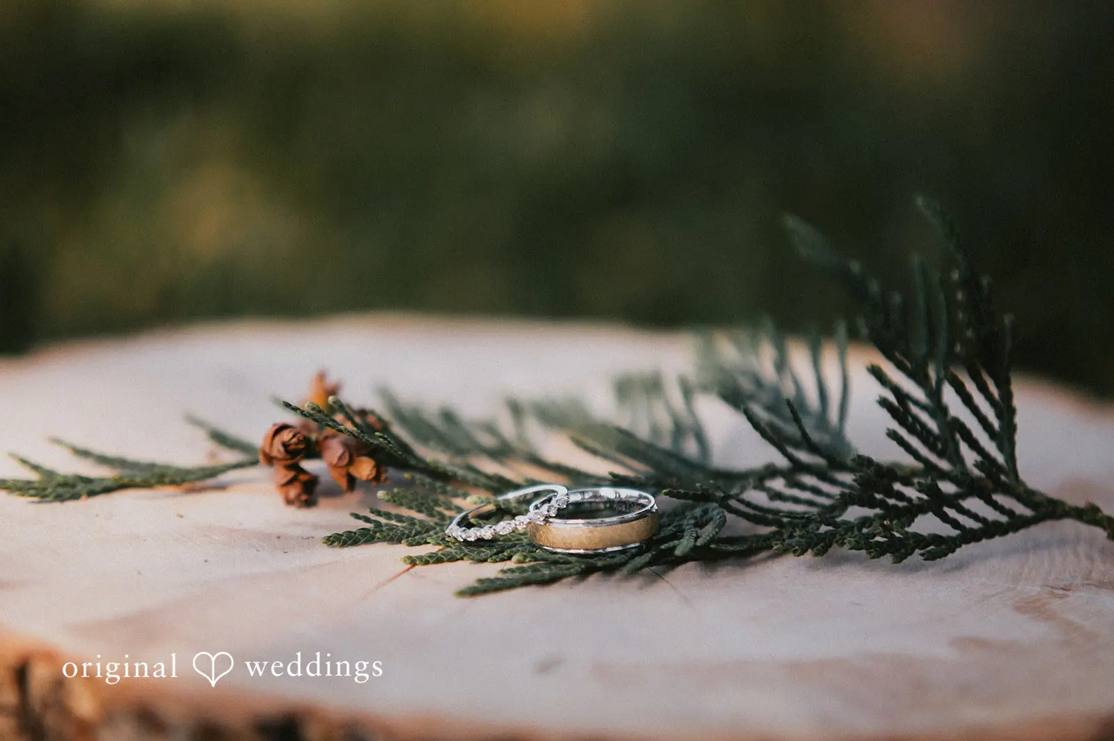 Lindsey + Humberto The Aerie at Eagle Landing Wedding // Lindsey & Humberto -