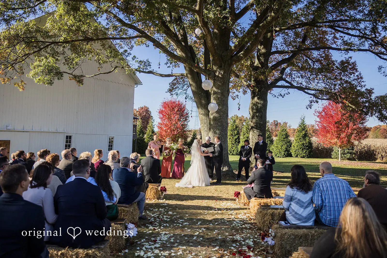 Ellen + George The Barnstone Wedding // Ellen & George -