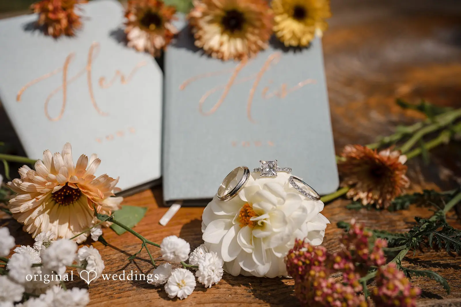 Laci + Ryan The Cedars Wedding // Laci & Ryan -