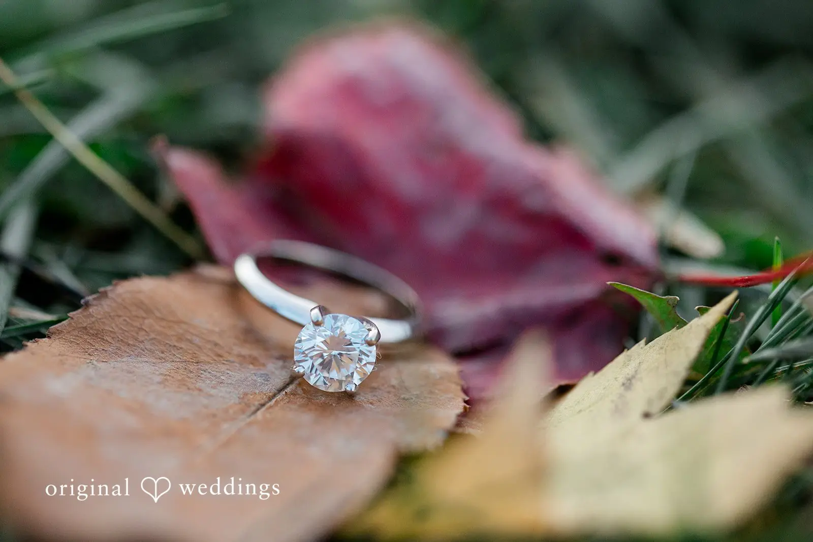 The Ledges Overlook Engagement // Melina & Jacob -