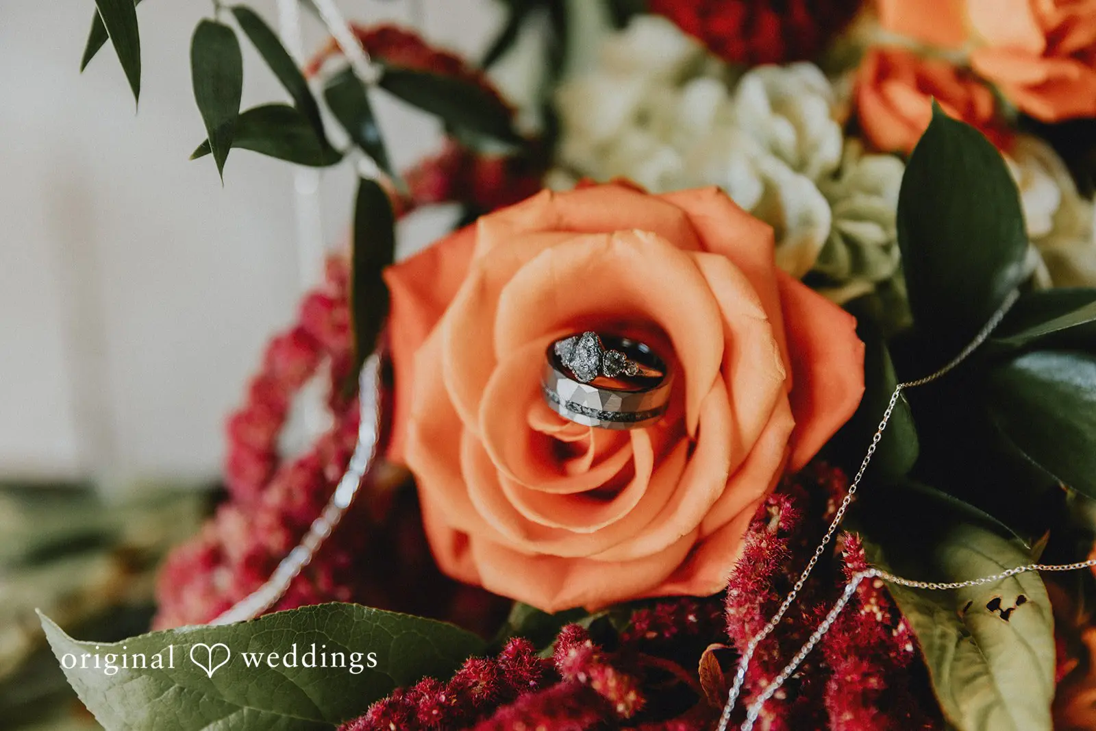 The Mohicans Treehouse Resort Wedding // Alyssa & James -