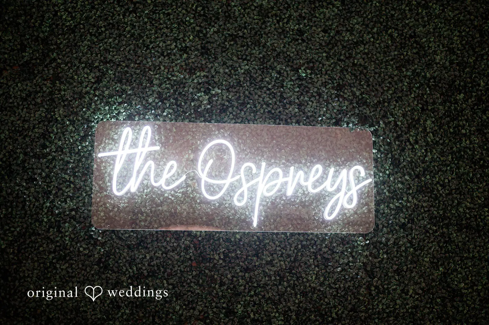 Rebecca + Joshua The Osprey’s at Belmont Bay Wedding // Rebecca & Joshua -