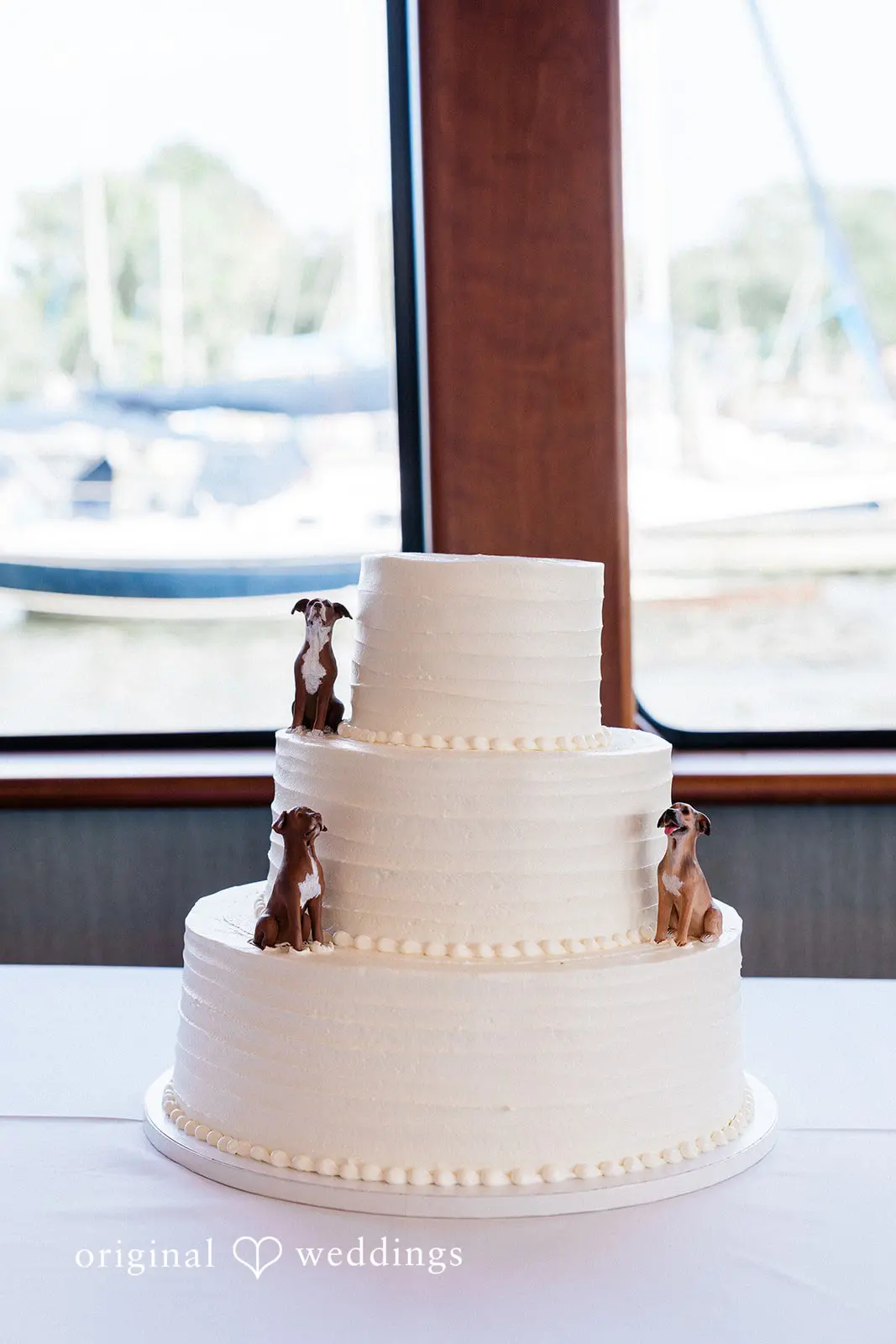 The Raven Wedding // Tori & Shannon -