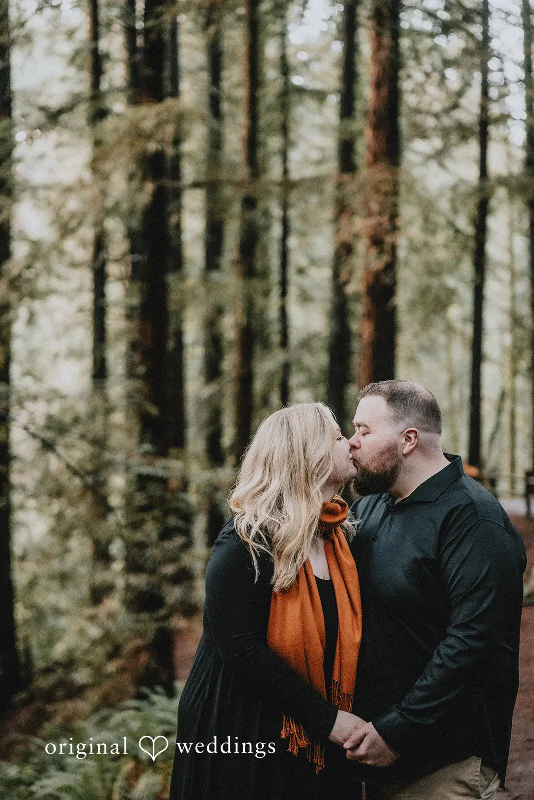 Lauren + Douglas Redwood Observation Deck Engagement // Lauren & Douglas -