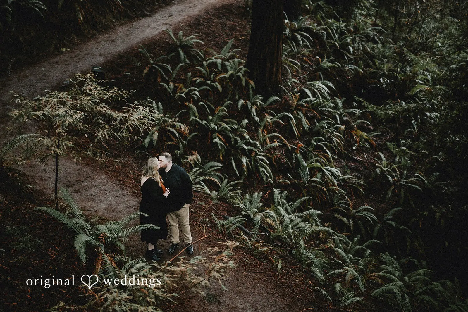 Lauren + Douglas Redwood Observation Deck Engagement // Lauren & Douglas -