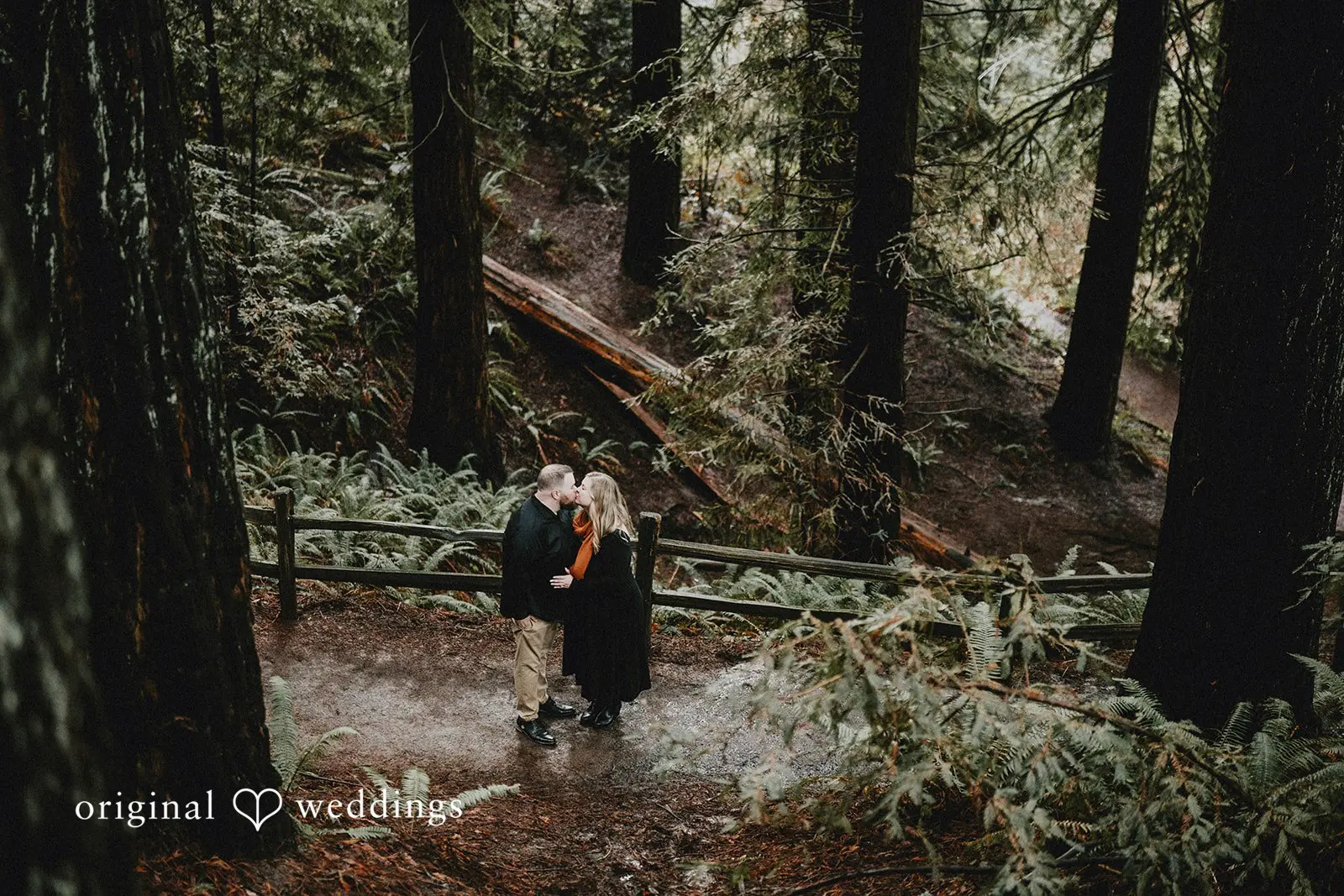 Lauren + Douglas Redwood Observation Deck Engagement // Lauren & Douglas -