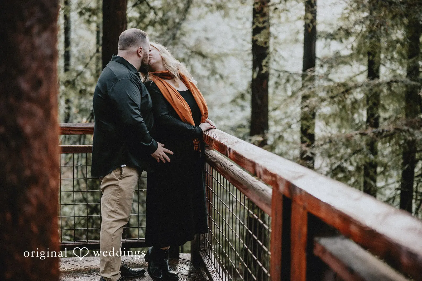 Lauren + Douglas Redwood Observation Deck Engagement // Lauren & Douglas -
