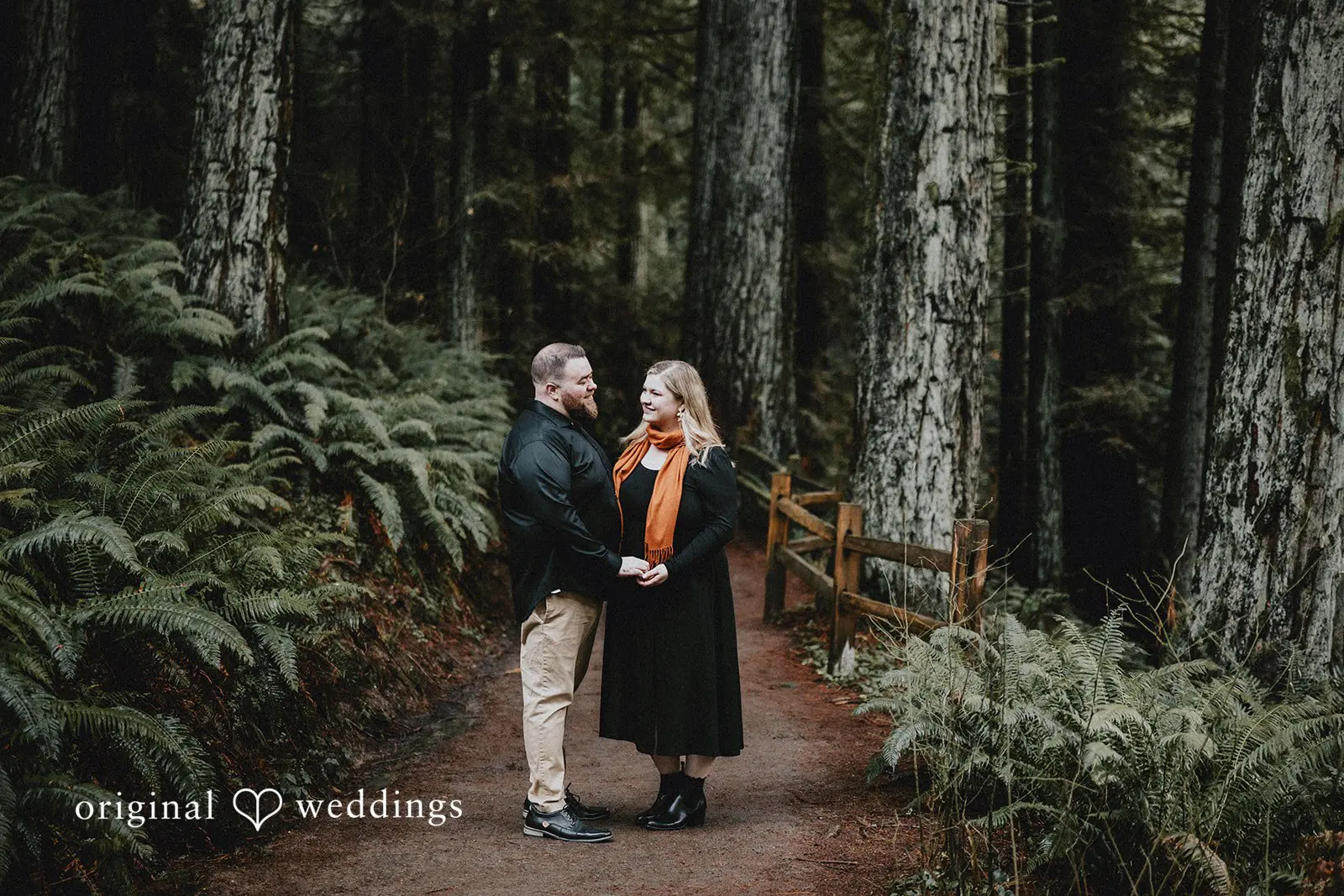 Lauren + Douglas Redwood Observation Deck Engagement // Lauren & Douglas -