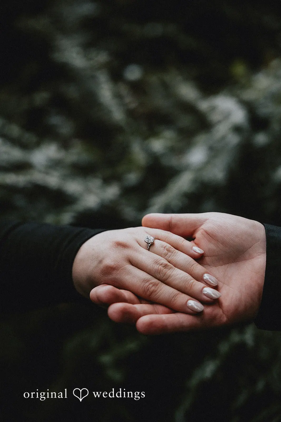 Lauren + Douglas Redwood Observation Deck Engagement // Lauren & Douglas -