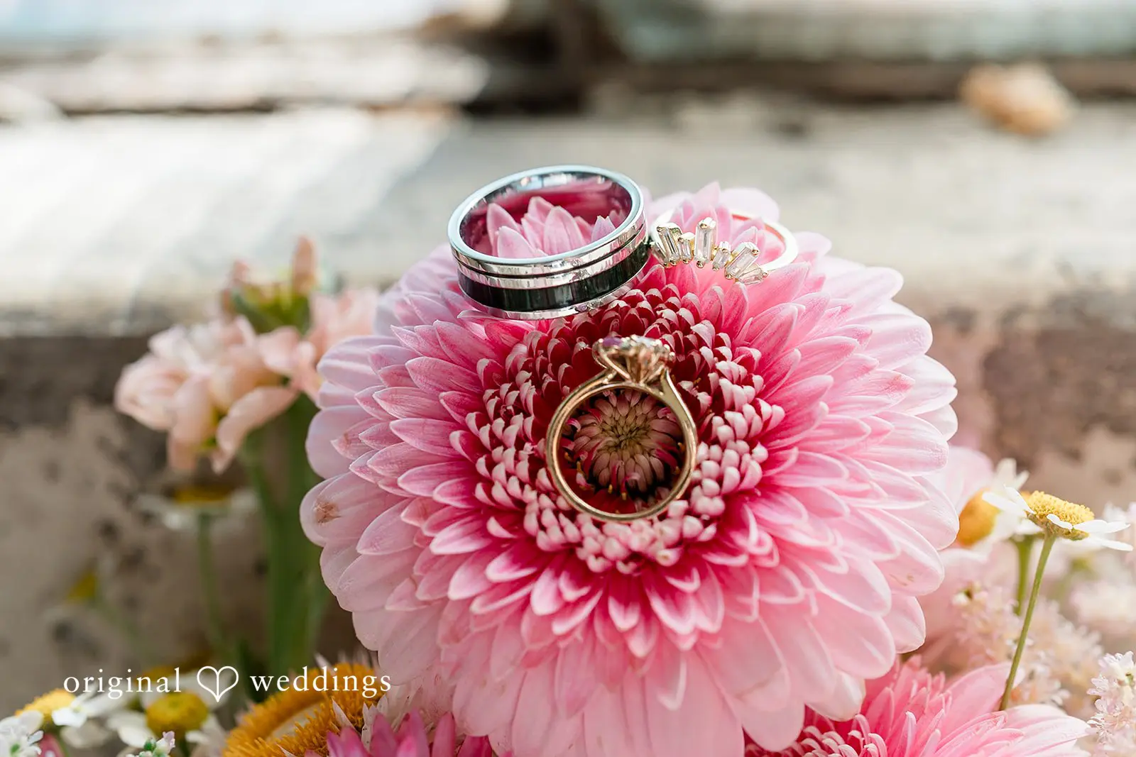 Molly + Bill The Ruins Wedding // Molly & Bill -