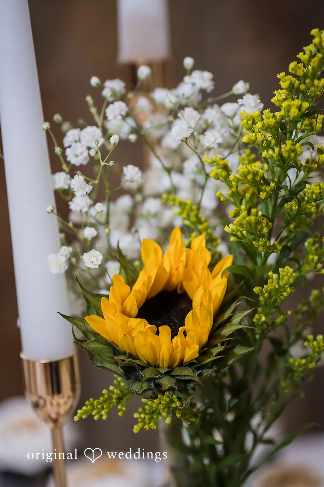The Springs Denton Wedding // Caleb & Jenna -