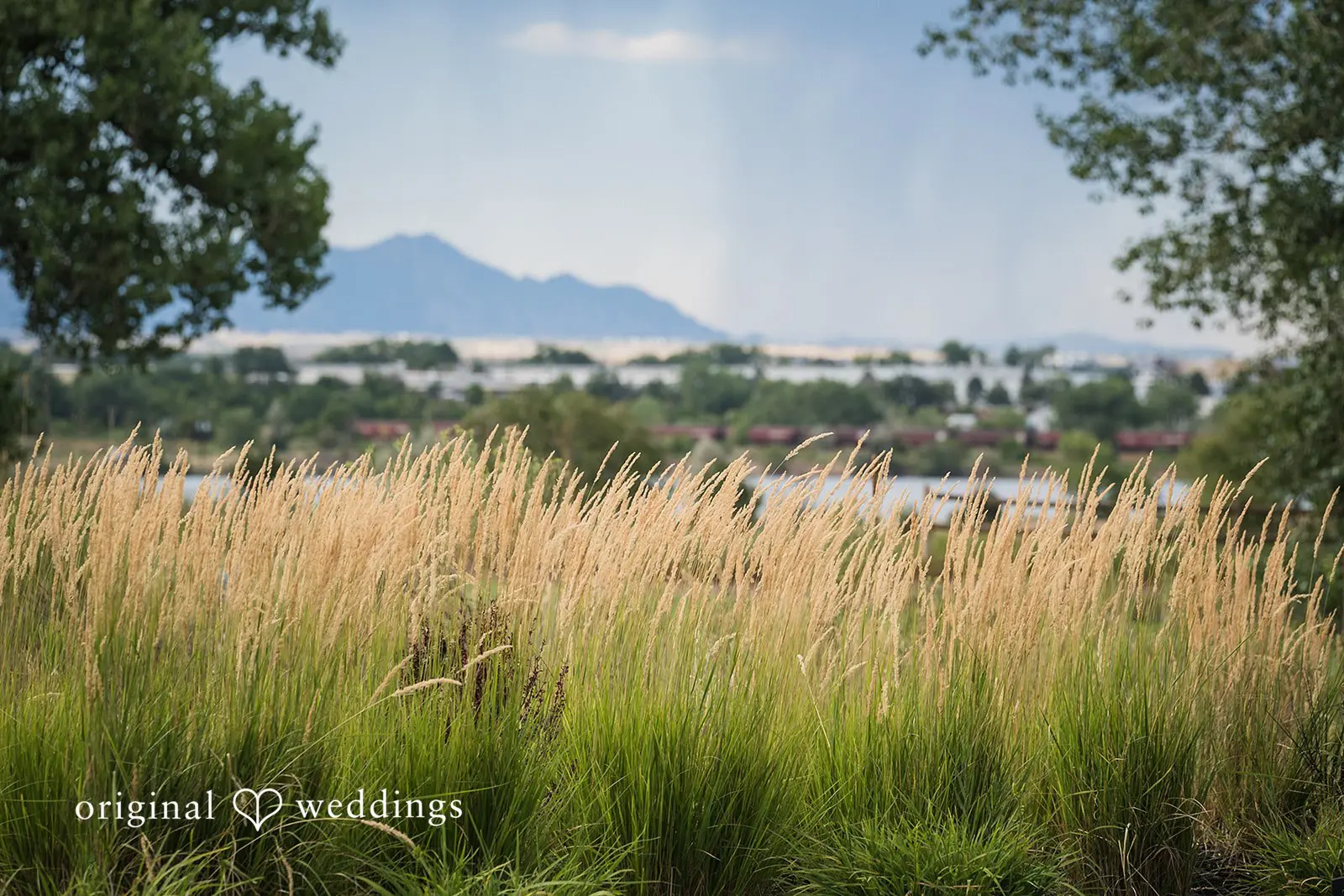 Nicolas + Carly The Vista at Applewood Golf Course Wedding // Nicolas & Carly -