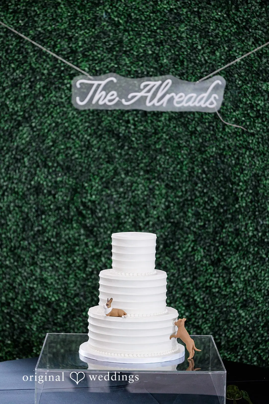 Devjani + Willam The Waters Edge Wedding // Devjani & Willam -