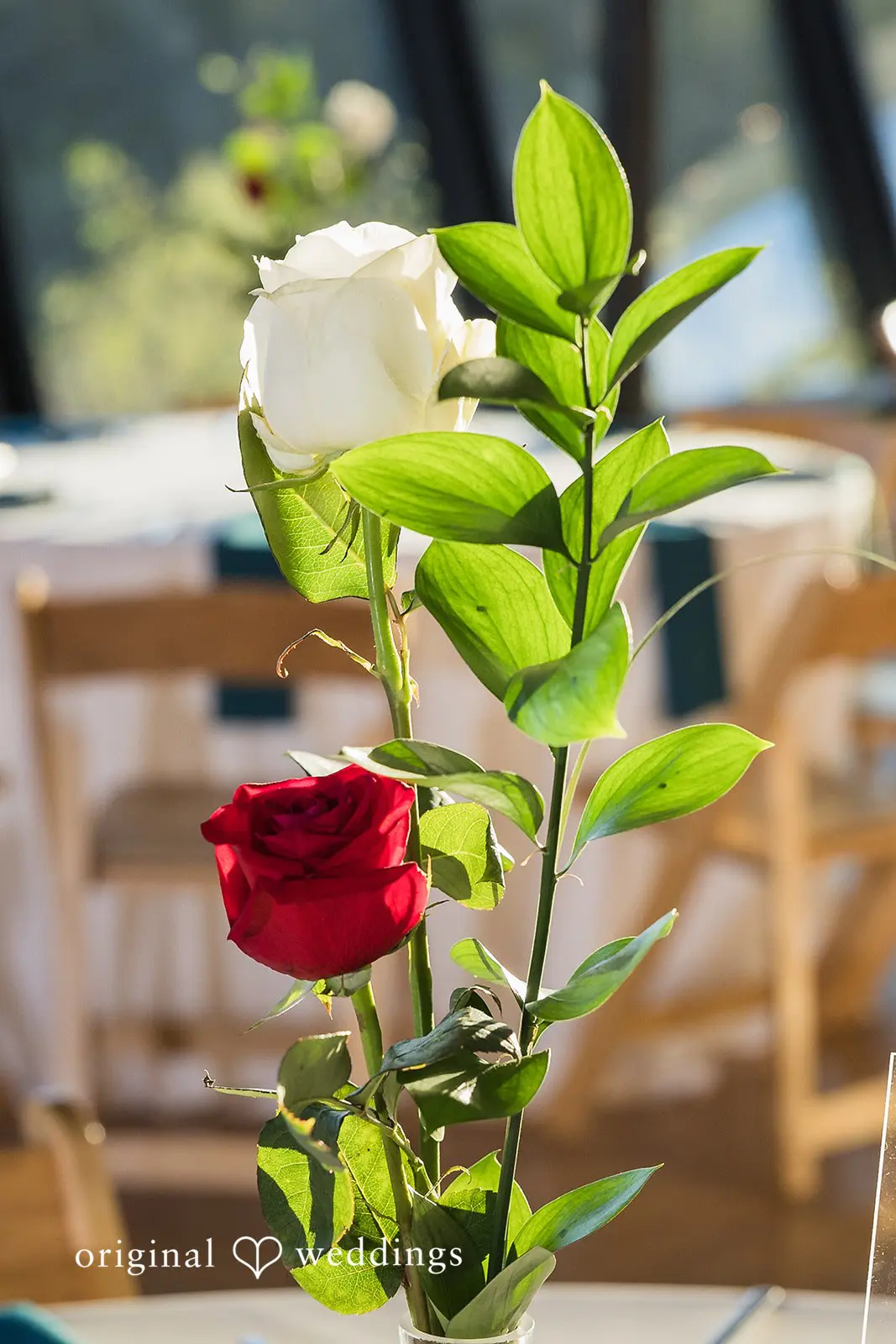 Alem + Jesus Trinity River Audubon Center Wedding // Alem & Jesus -