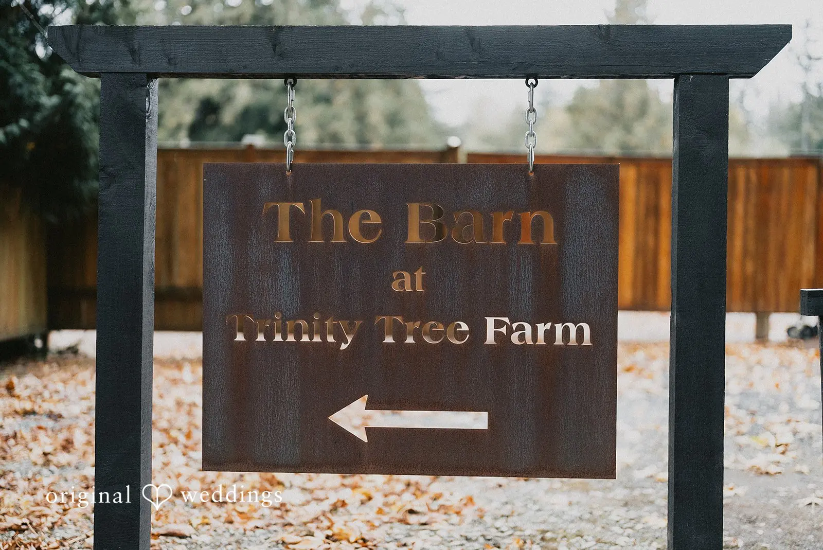 Phyllis + Allison Trinity Tree Farm Wedding // Kyle & Allison -