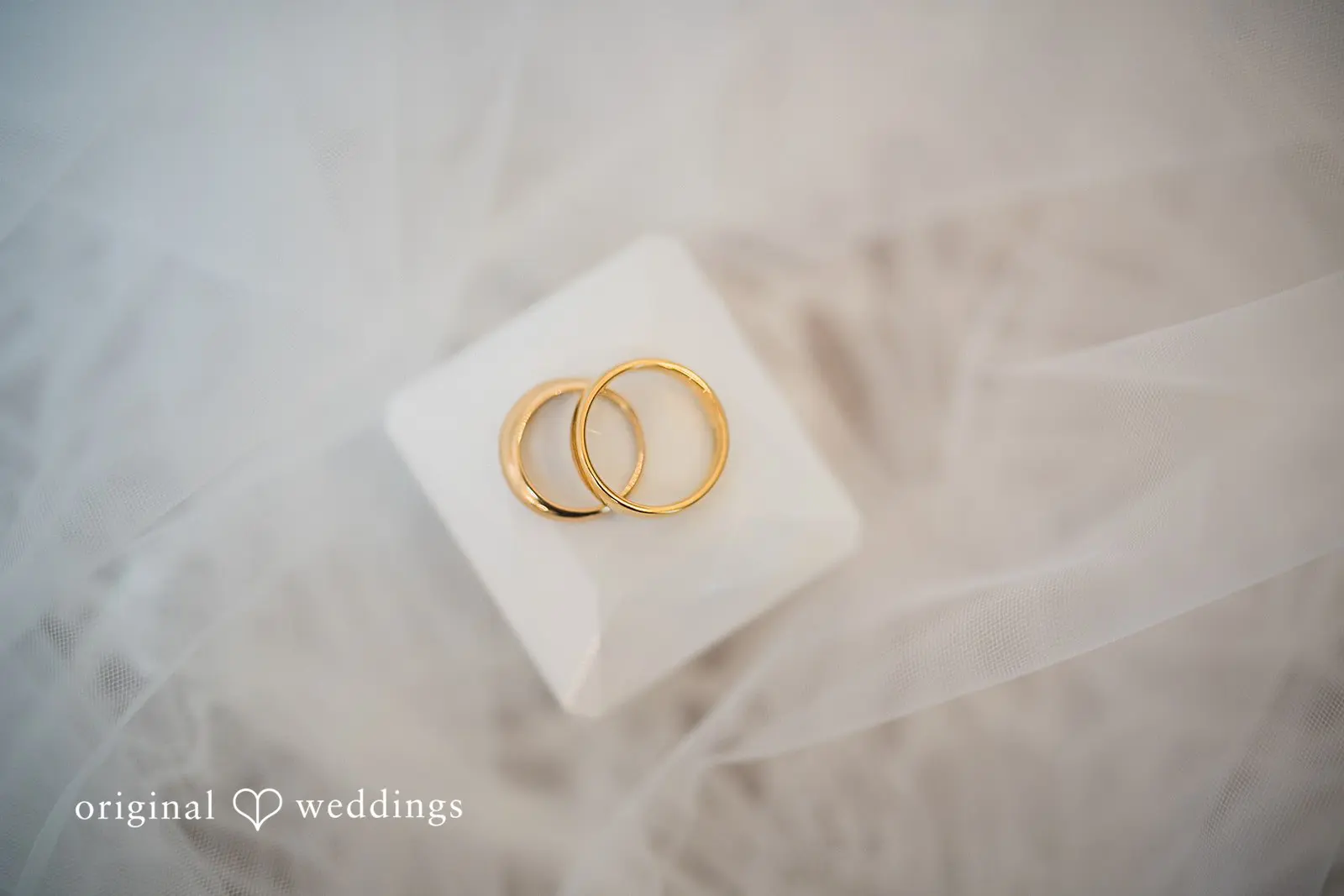 Haley + Wyatt Trinity Tree Farm Wedding // Haley & Wyatt -