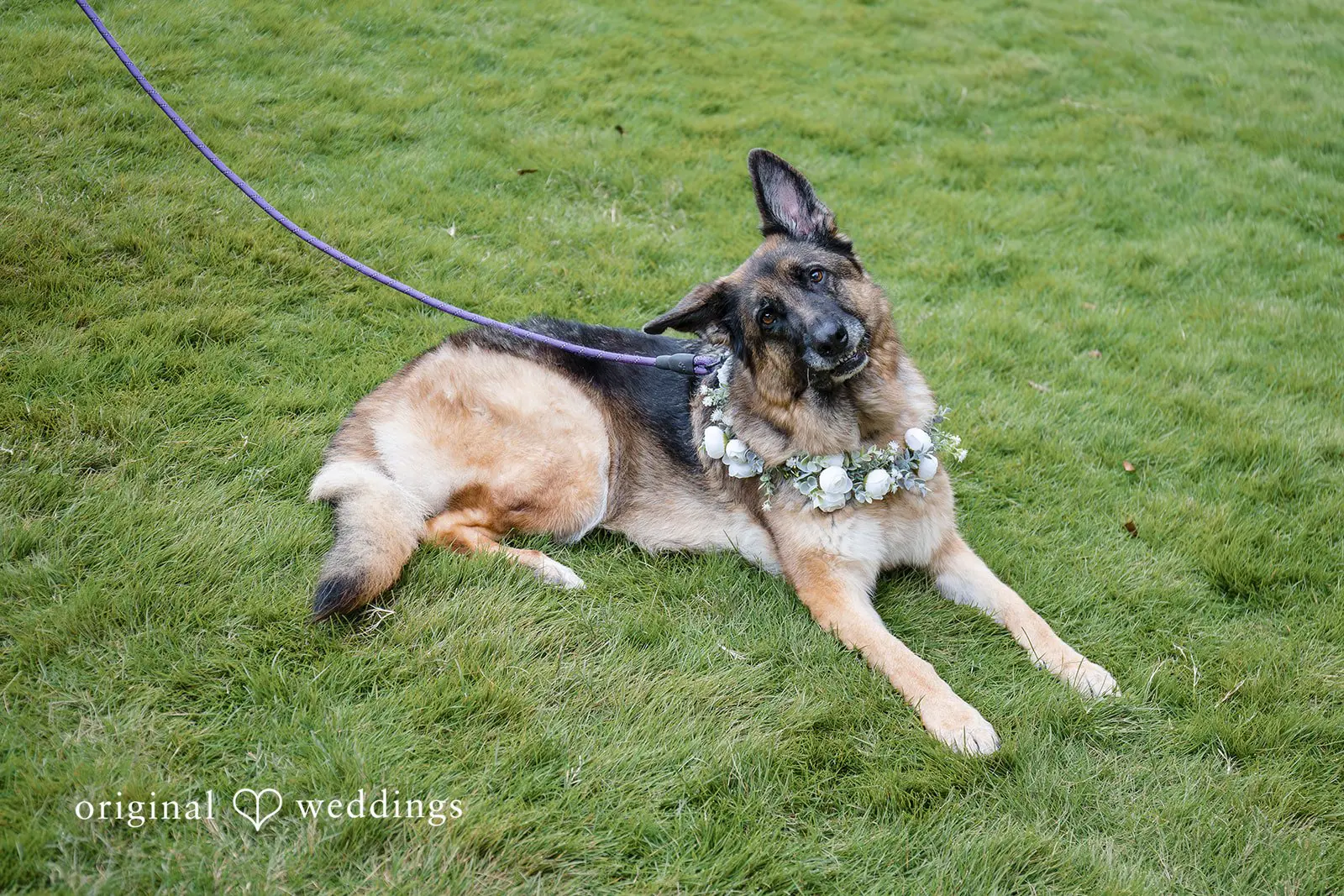Andrea + Nathan Vecoma at the Yellow River Wedding // Andrea & Nathan -