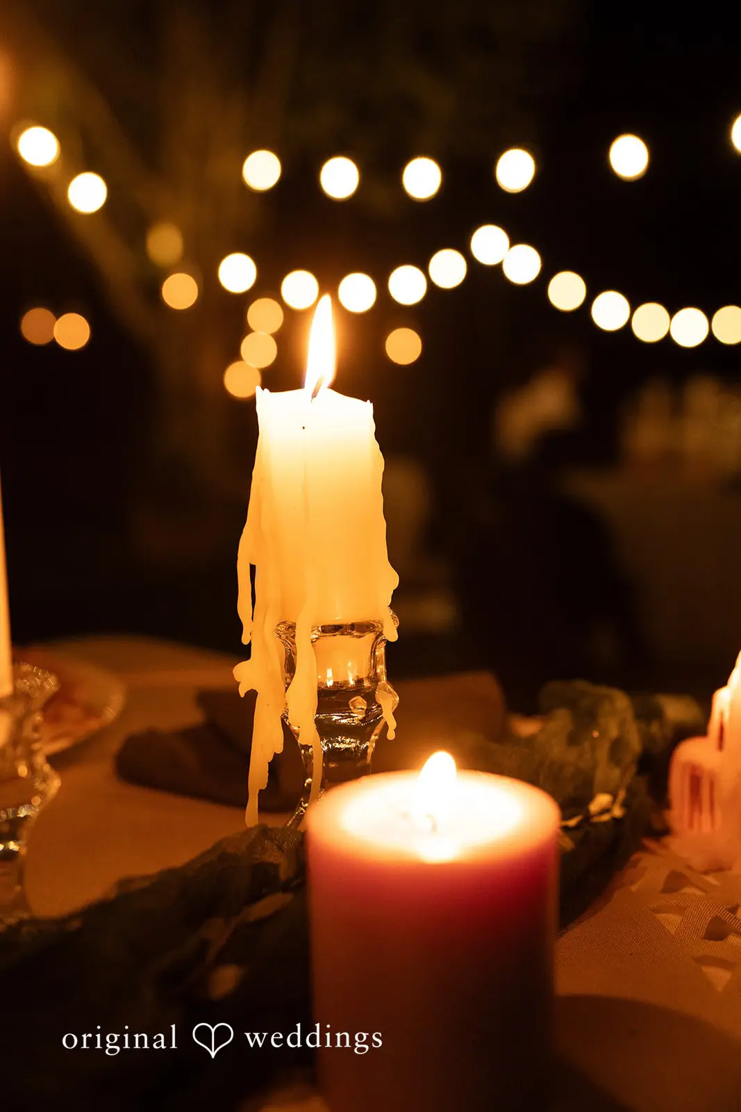 Julia + Pranay Washington Backyard Wedding // Julia & Pranay -
